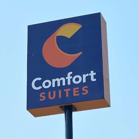 Comfort Suites Seaford Exterior photo