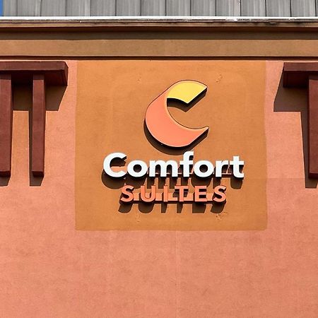 Comfort Suites Seaford Exterior photo